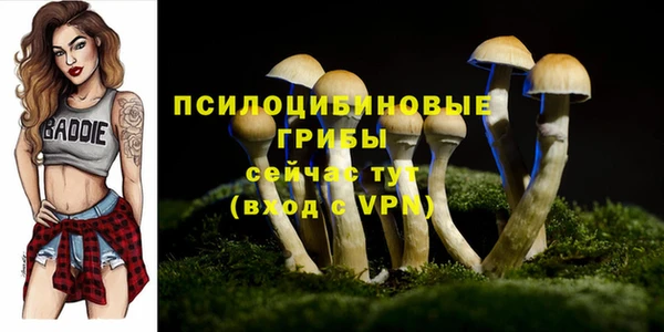 трава Мегион