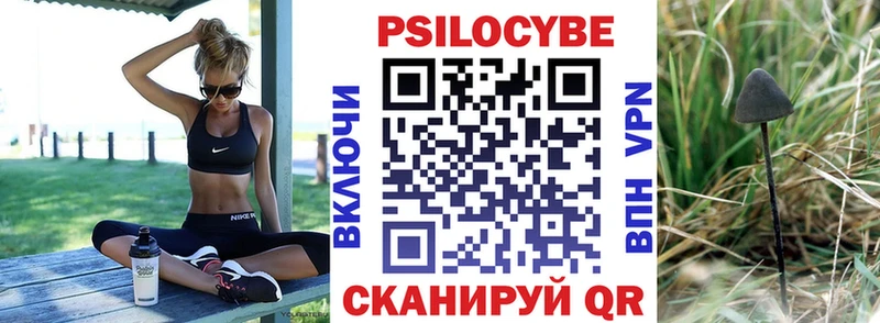 Псилоцибиновые грибы GOLDEN TEACHER  Чудово 